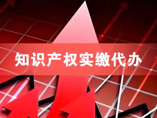 湛江知识产权实缴资本代办